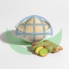Dried Ginger | Air-Dri...