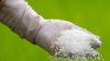White Spirit, Naphtha,...