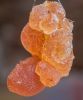 Gum Arabic both Hashab...