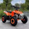 125CC  All terrain beach bike four wheels off-road motorcycle Electric mountain bicycle