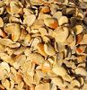 OGBONO SEED