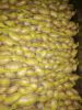Mozika Potatoes
