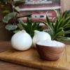 Dehydrated White Onion...