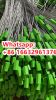 Adjustable Length Tamp...