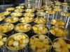 Canned Pineapple - ori...