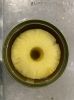 Canned Pineapple - ori...