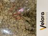 Robusta Coffee Uganda ...