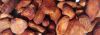 Cocoa Beans Uganda 