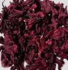 dried hibiscus flower