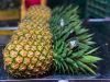 Fresh pineapple