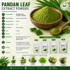 Pandan Leaf (Pandanus ...
