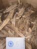 Agarwood (oud) Chips