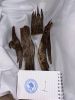 Agarwood (oud) Chips