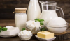 Bulk Milk, Cheese & Dairy Foods for Retail and Distribution