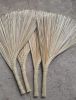 Natural Coconut Leaf B...