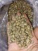 Arabica Green Coffee B...