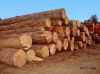 Wood for pallets and g...