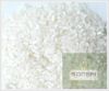 100% Broken Rice
