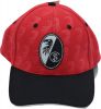 2025 Embroidered and printed casual baseball cap Unisex BSCI RWS