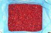 IQF Lingonberry