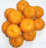 Baby Mandarin