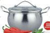 stainless steel casser...