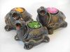 Terra Cotta Dolls, Can...