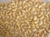 Discounted Cashew Nut ...