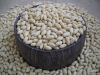 Blanched peanut kernels