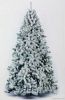 christmas  tree