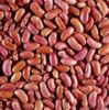 beans