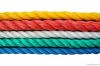 PP Danline Rope
