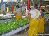 bananas costa rica low price