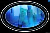 Crystal display with o...