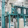 wheat flour milling ma...