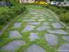 the cheapest garden la...
