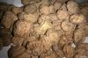 Tiger Nuts (mini, stan...
