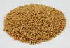 American wheat