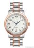 business watch analog ...