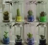 Pet tree 1 (Mini Plant...