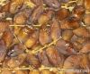 Deglet Nour dates