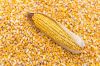 Yellow Corn , Barley  ...
