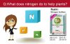 Nutri