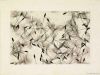 Dandelion seeds