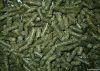 High Protein Alfalfa P...