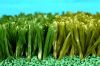Artificial Grass, Arti...