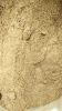 Dried CALAMANSI powder...