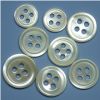 Sea Shell Button