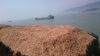 ACACIA WOOD CHIPS PULP GRADE  FROM VIET NAM 