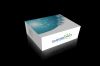  Porcine Interferon &Atilde;�&Acirc;&plusmn;,IFN-&Atilde;�&Acirc;&plusmn; ELISA Kit